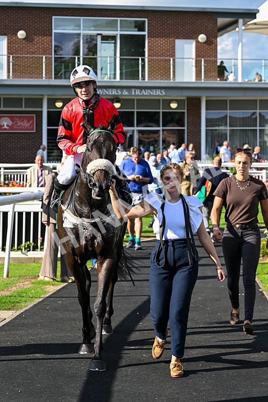 140926-Race 4-Lamlash Bay-7290 - Race 4 3.51pm Sapphire Selling Handicap
