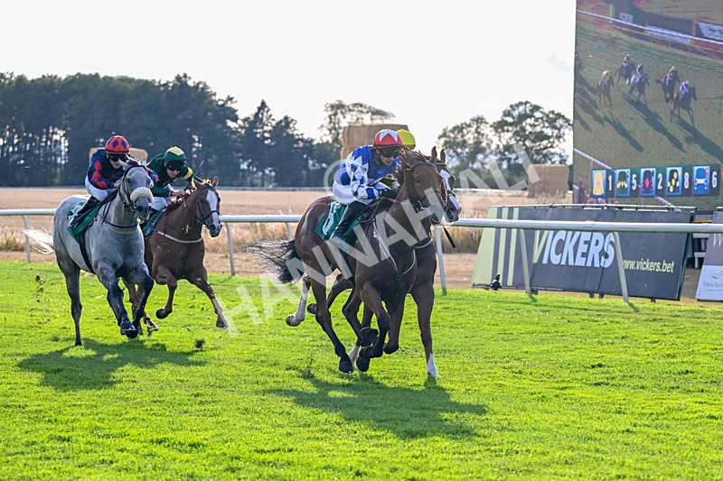 140826-Race 3-Equity Law-1140 - Race 3 18.43pm Heineken 0% Handicap