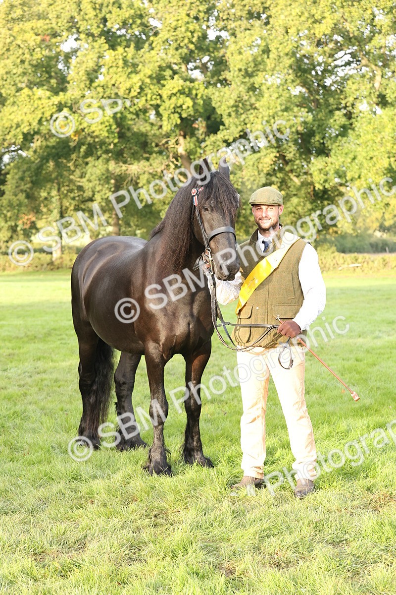 SBM_54456 - S51 - Foreign Breeds In Hand
