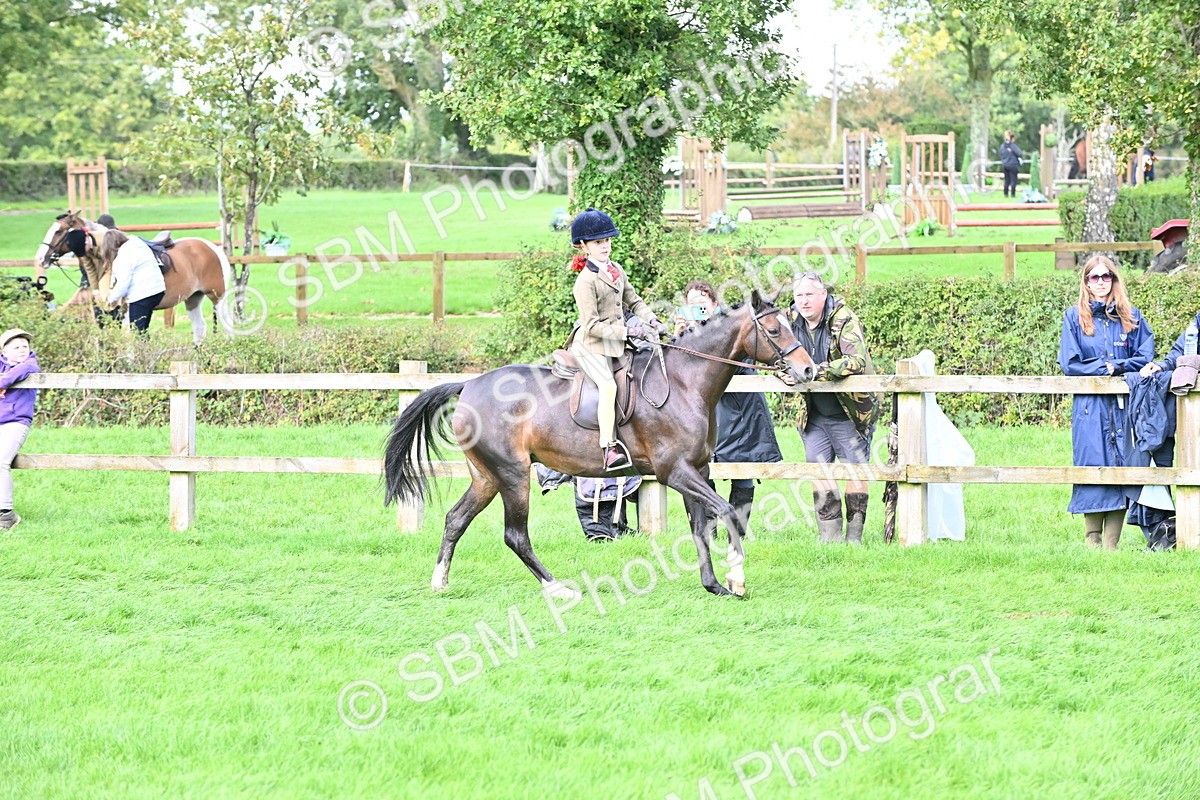 SBM_44484 - S13 - Pony Club Pony