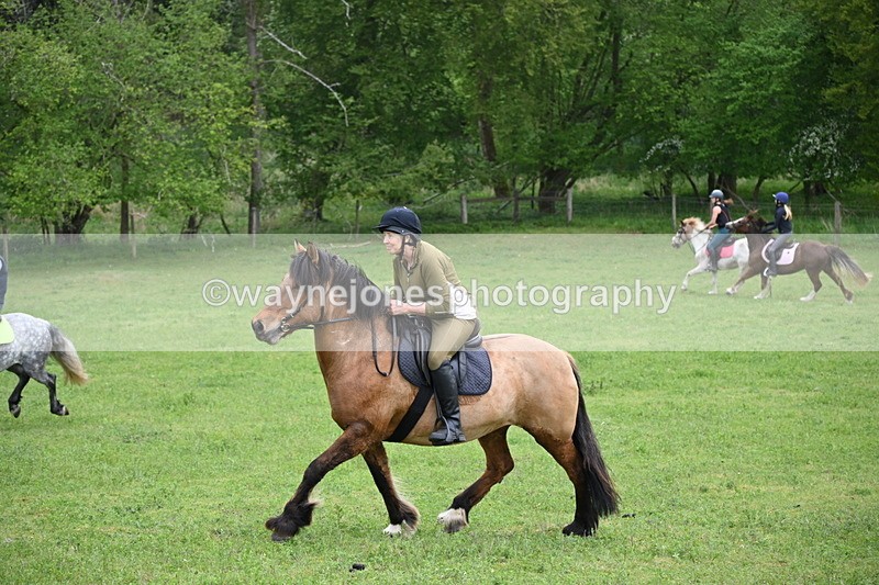 WJ6_3360 - A camera