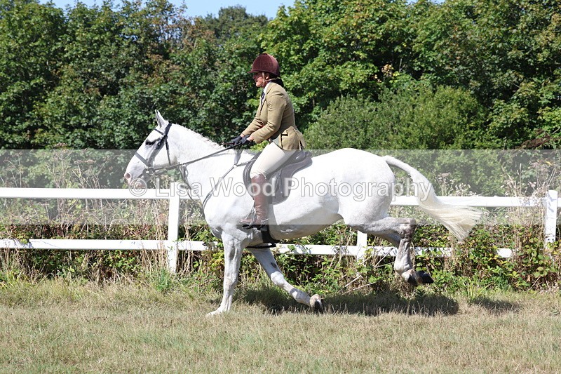 3E7A6441 - Working Hunter Championship