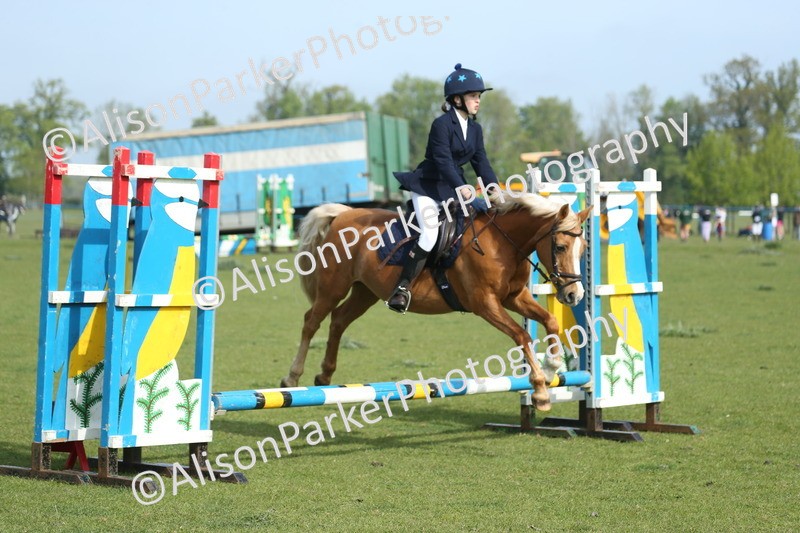 20260426-0147 - Class 13 - Rookie Jumping 50cm