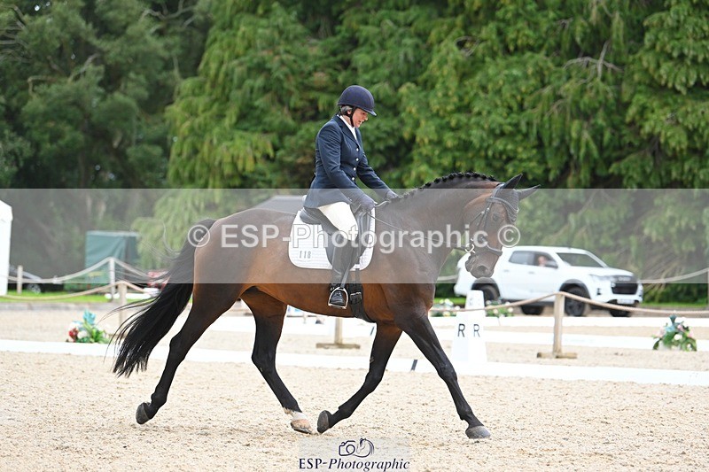 230813-143829-07802 - Cls 13 Medium Bronze 13.15 to End