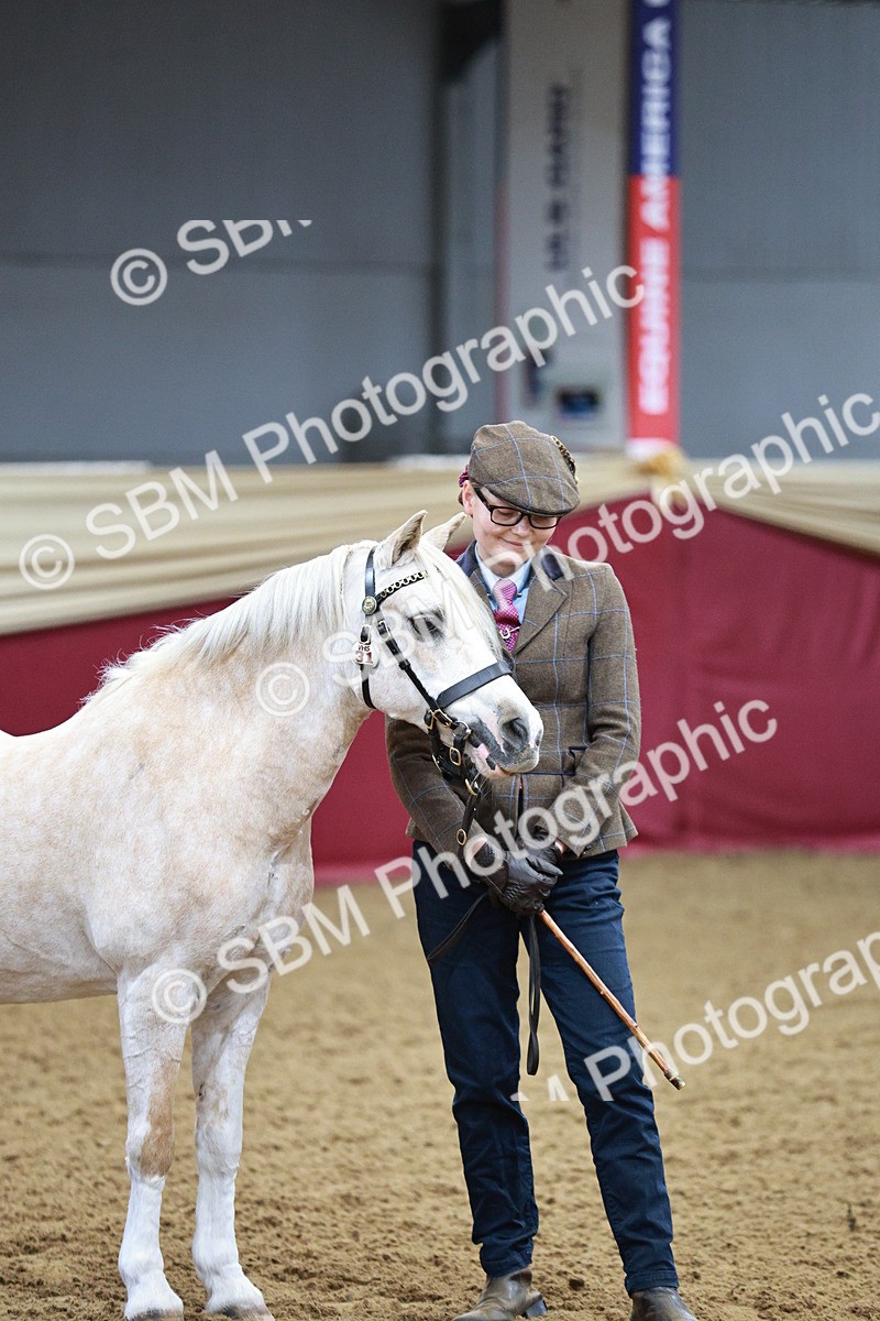 SBM_00184 - Class 1A - Area IH Diamond