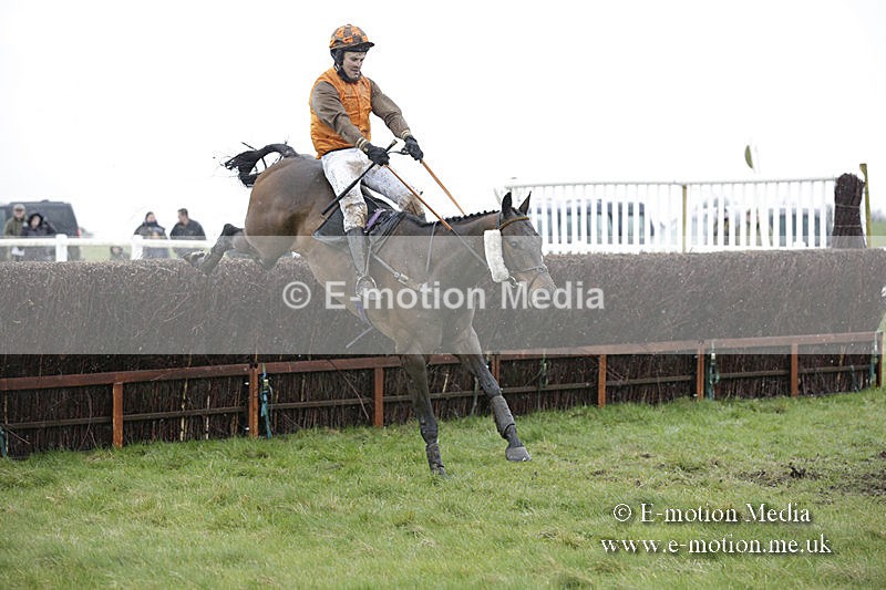 PtP 150320 0339 - New Forest Point-to-Point Larkhill 15/03/20