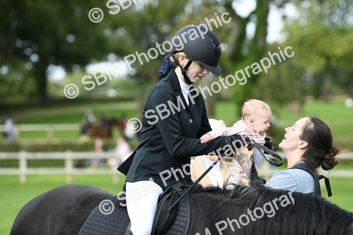 SBM_46833 - S12 - Family Horse & Pony