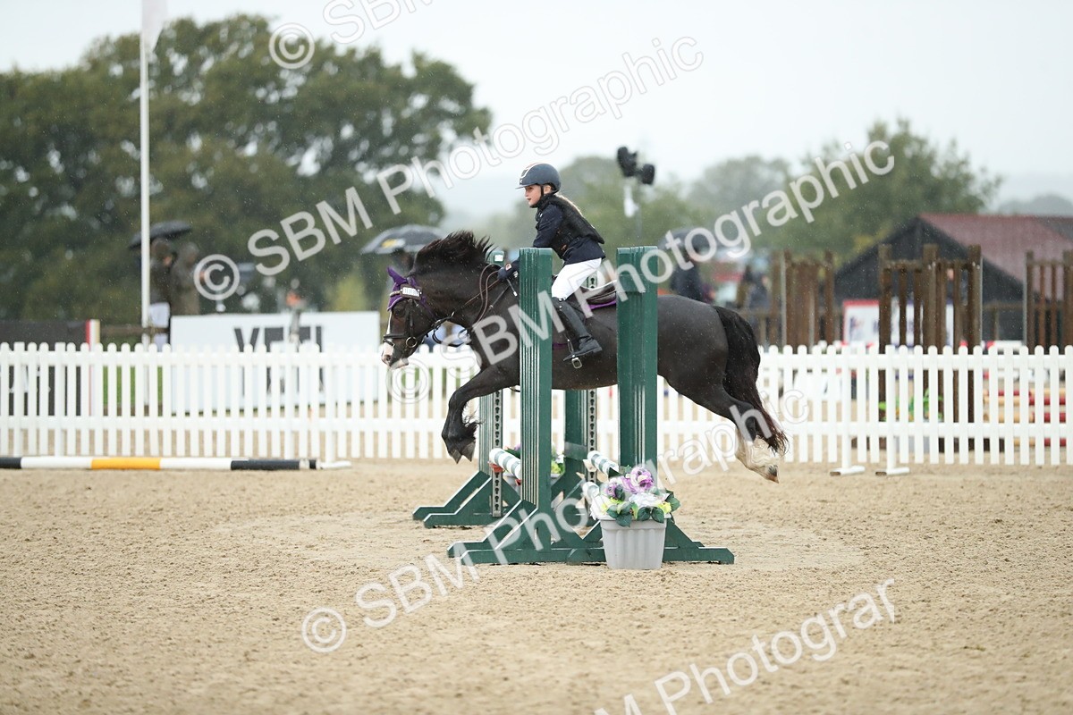 SBM_34345 - J60 Clear Round 50cm