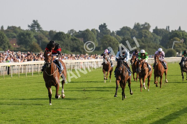 yr05092021r7-20 - Race 7 5.10pm Yorkshire Regiment Stakes