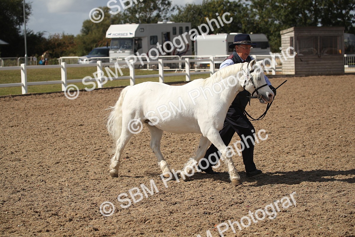 SBM_23518 - Class 605 - 2026 - Area - IH Veteran
