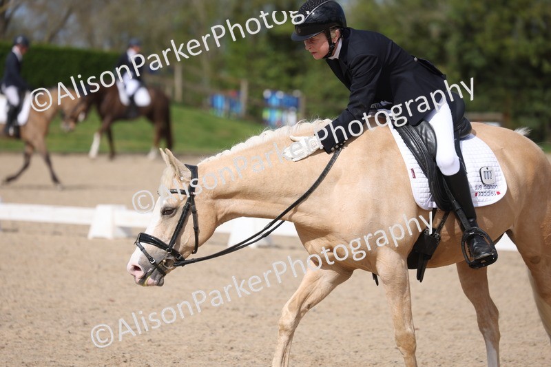 20260405-0222 - Class 3 - Novice 5