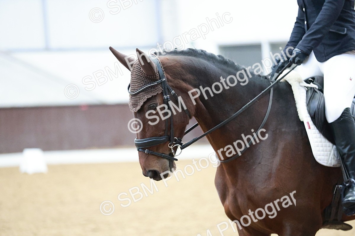 SBM_003728 - Class 2 - Novice 2020