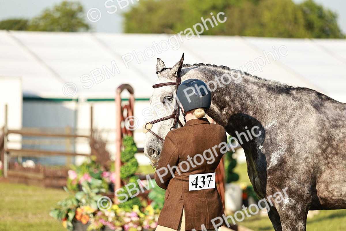 SBM_20506 - Class 117-119 - Sport Horse Working Hunter