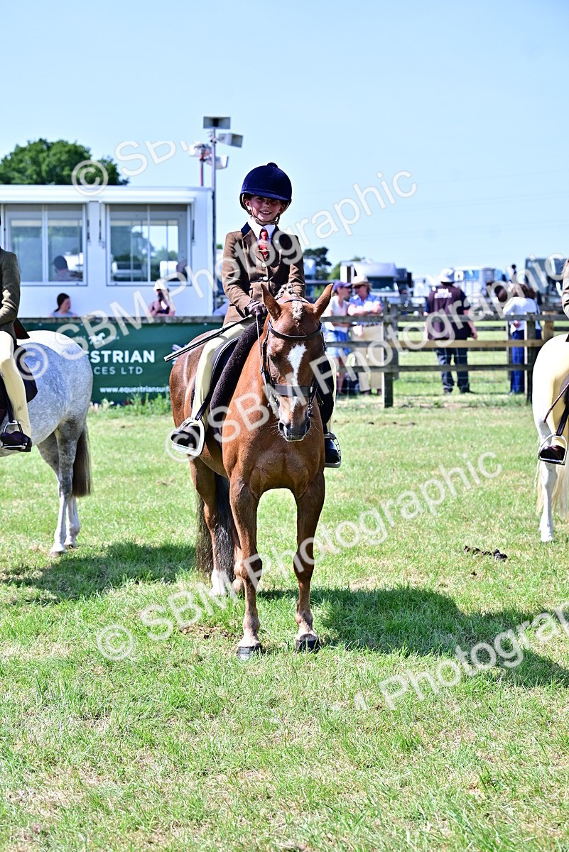SBM_14014 - Class 95-97 - BSPS LHS Performance Ponies