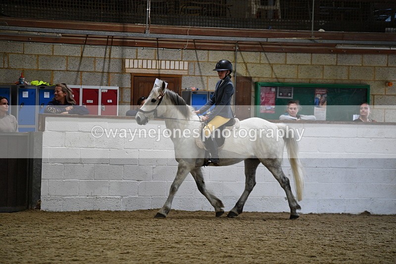 WJ5_7906 - Class 13 Ridden Part Breed