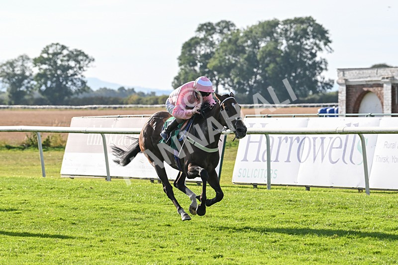 160924-Race 7-Style Of Life-3265 - Race 7