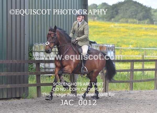 JAC_0012 - CLASS 3 Intermediate Working Hunter (0.70m - 0.85m)