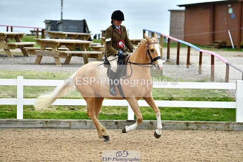 230416A-140120-04989 - Cls 60 Ridden Show Horse