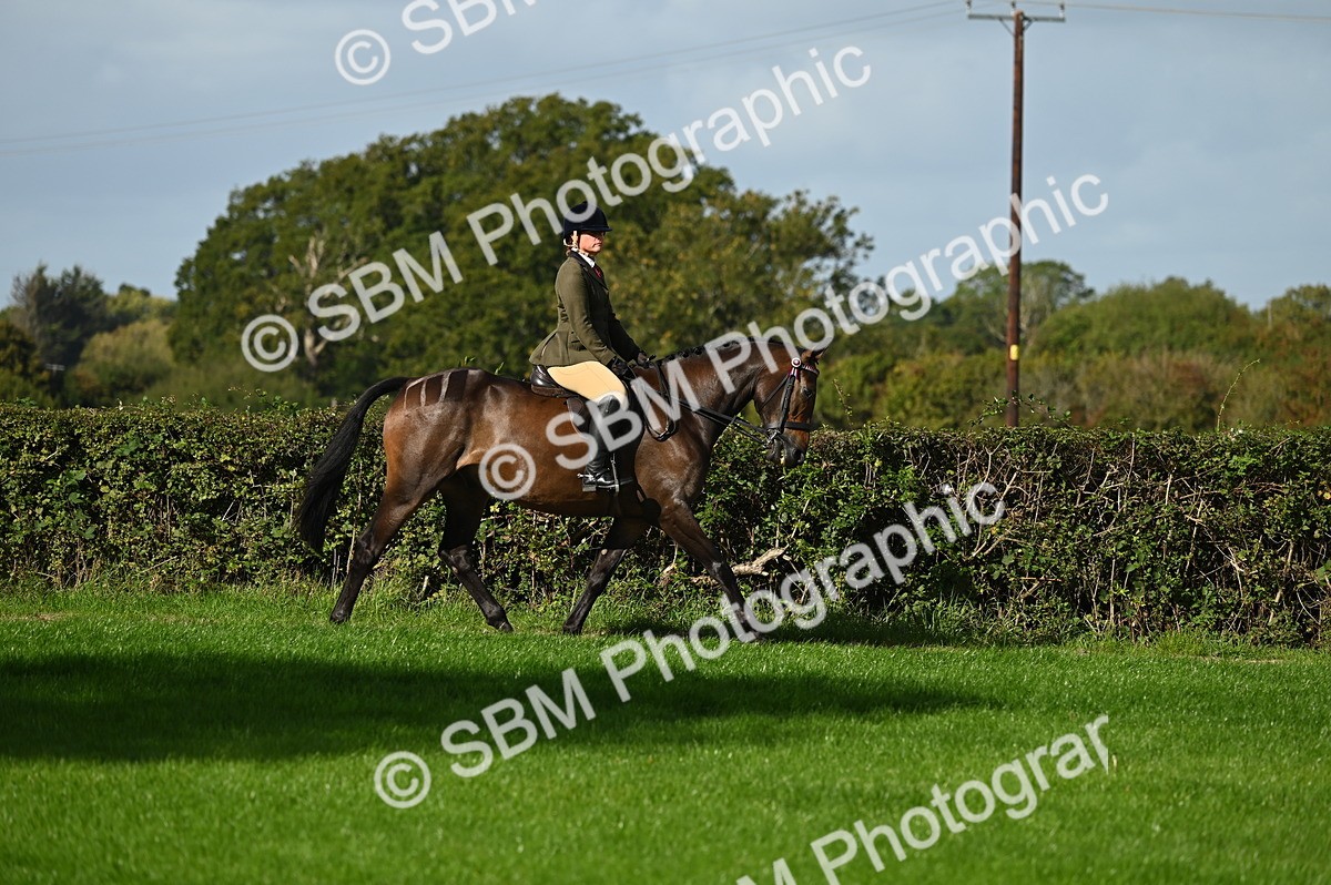 SBM_01282 - S2 - TSR Ridden Horse Showing