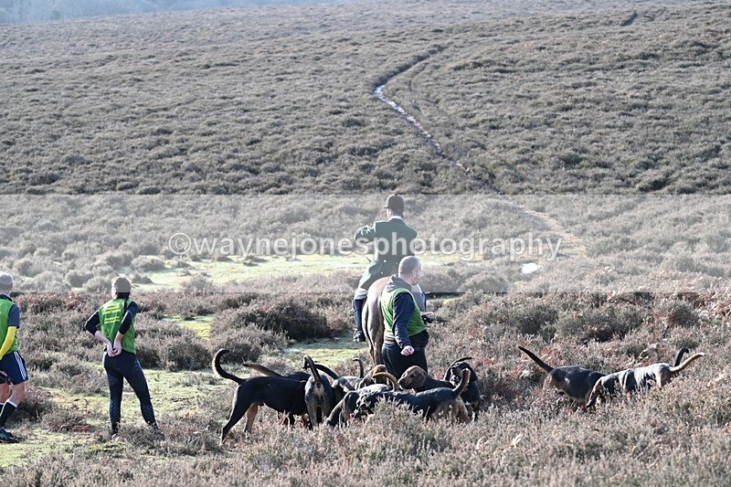 WJ7_8021 - Line 3 (no line 4 or 5)