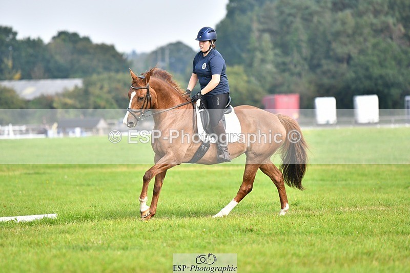 230817-092825-02554 - Abbie's 1st Group - Dressage