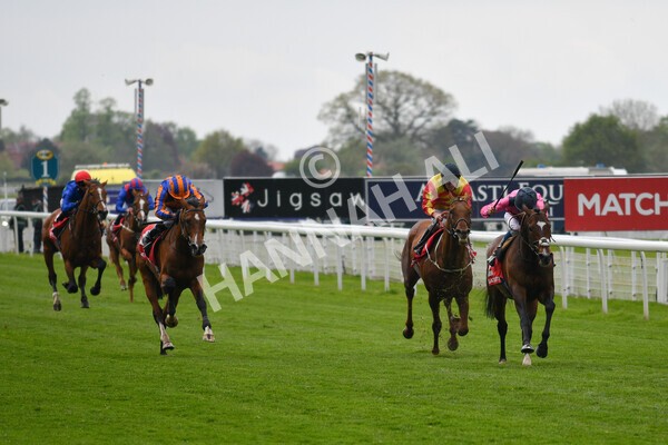 yr14052021r4-14 - Race 4 3.10pm The Matchbook Yorkshire Cup