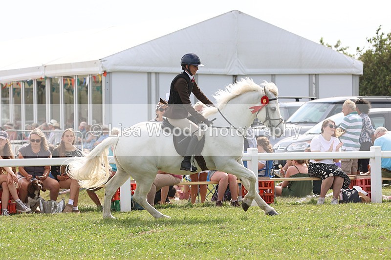 JPP_3974 - Class 23: Working Hunter 80cm