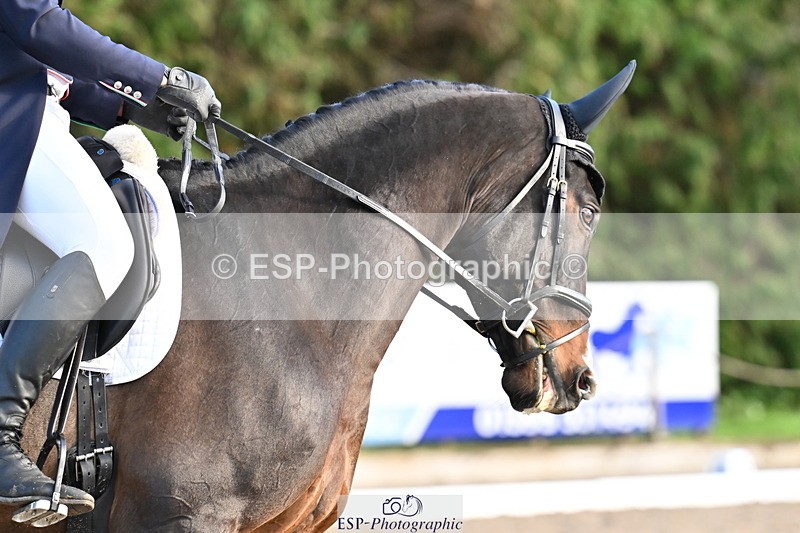 251023A-163111-05885 - A-016-Matteo.Gallucci