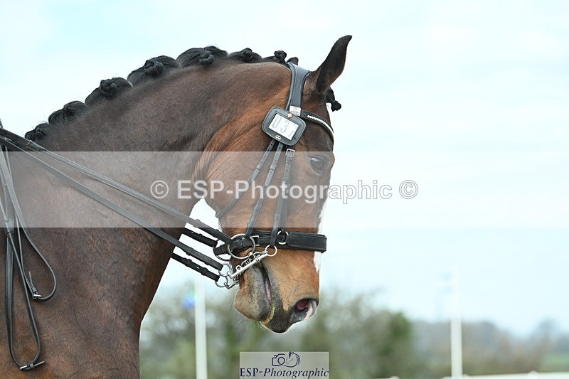 250403-095202-01044 - 037-Fay.Lai-Greenlanes.Lullaby