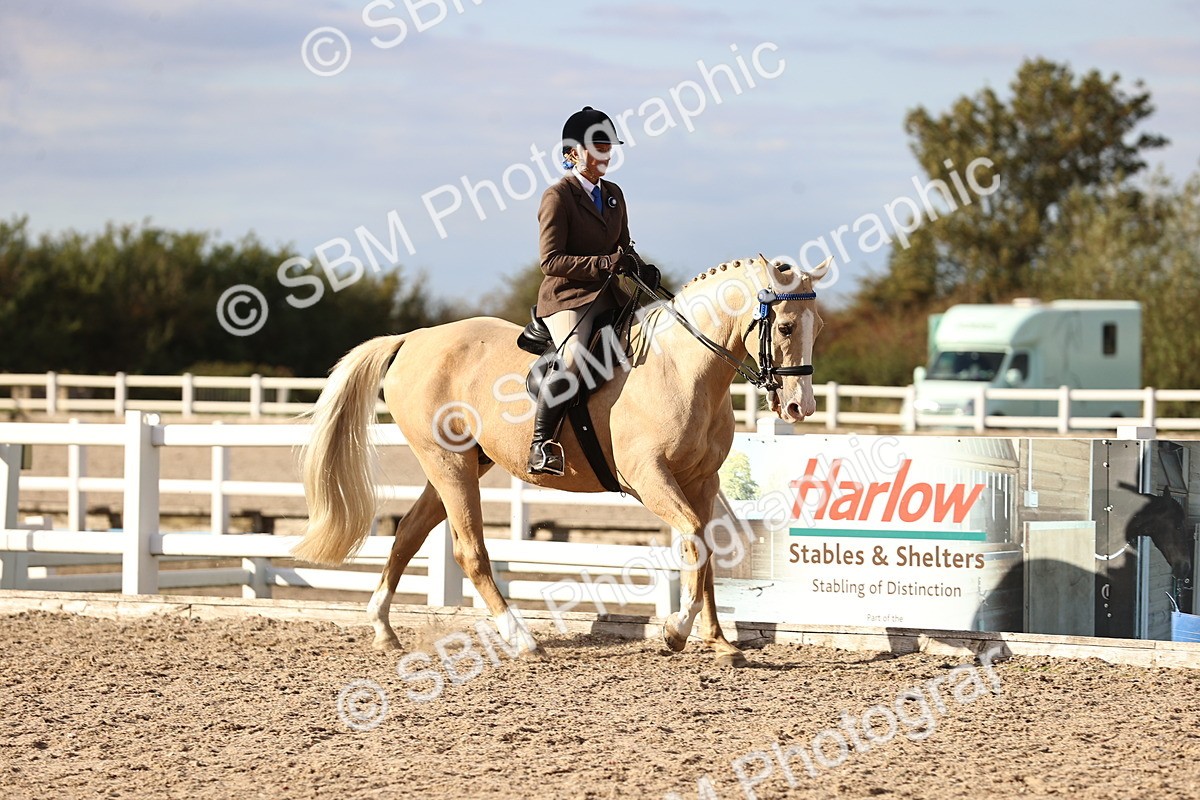 SBM_18312 - Class 423 - Equitation (best rider) Adult