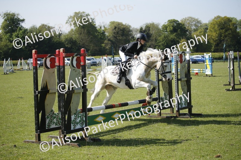 20250427-0448 - Class 12 - Rookie Jumping 40cm