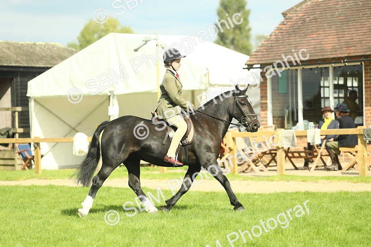 SBM_44902 - Working Hunter Pony Supreme Championship
