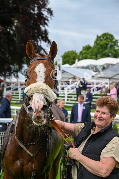 140624-Race 5-Ron O-5033 - Race 5 4.10pm Juddmonte EBF Fillies Restricted Novice Stakes