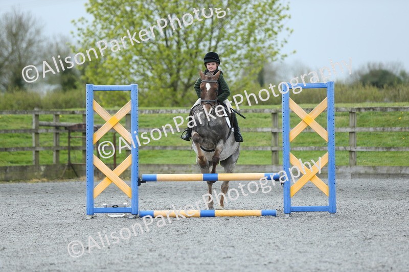 20260412-1854 - Show Jumping