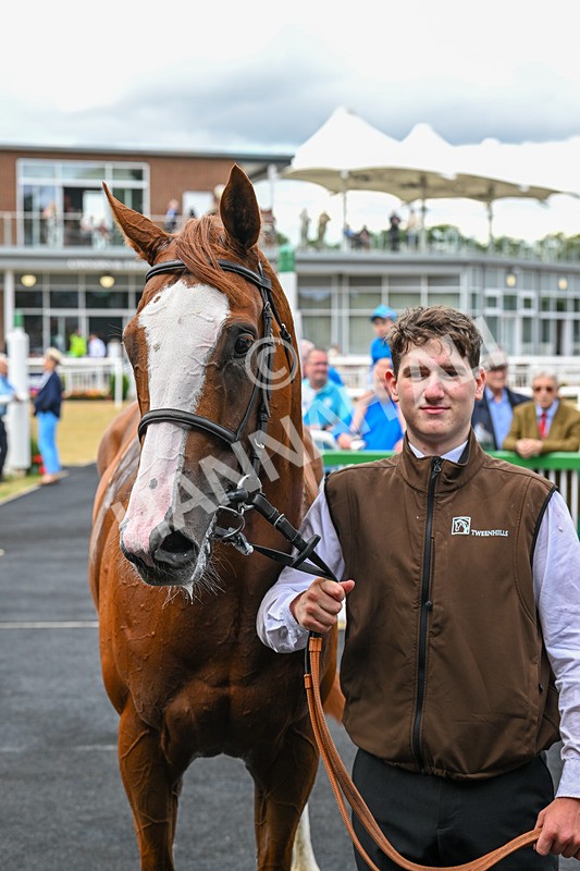 020725-Race 3-Wolfpack-2308 - Race 3