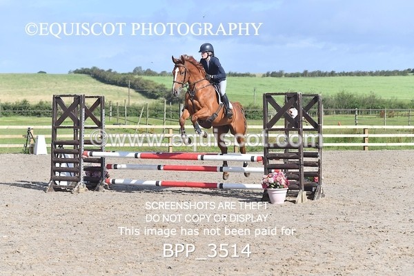 BPP_3514 - CLASS 2 Club/ Unaffiliated 80cms Open