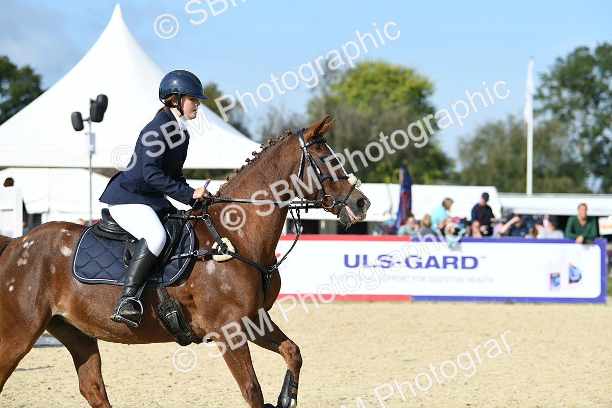SBM_60780 - j25 - Junior Horse 80cm Championship
