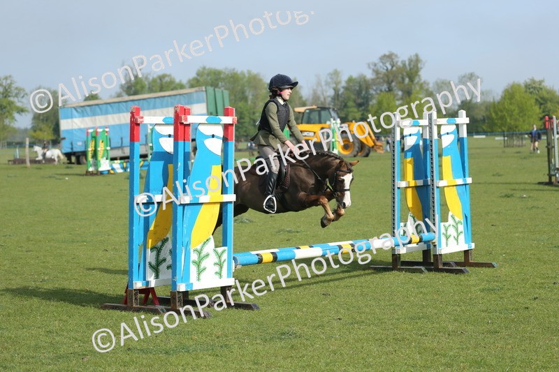 20260426-0032 - Class 13 - Rookie Jumping 50cm