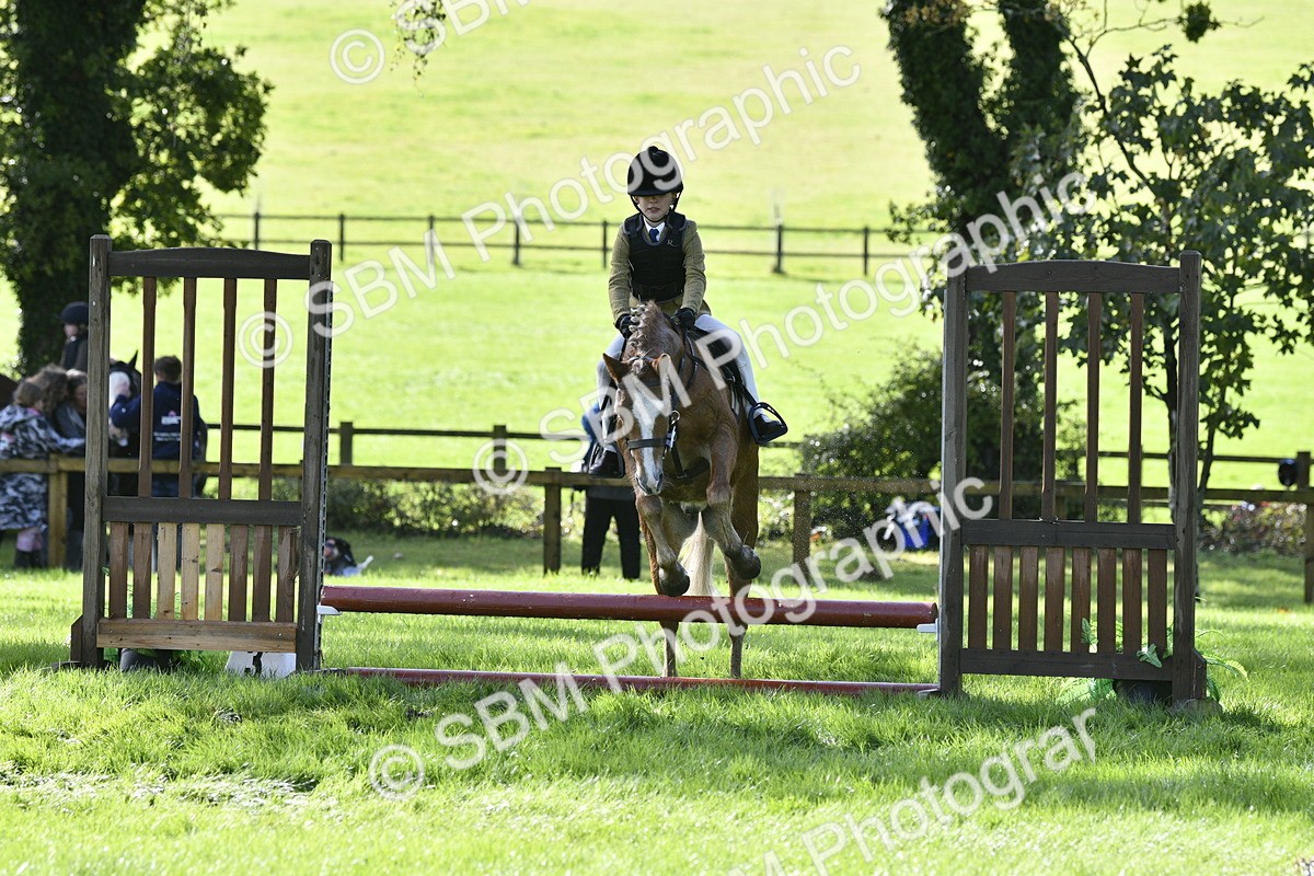 SBM_38219 - S31 - Novice & Newcomer Working Hunter Pony
