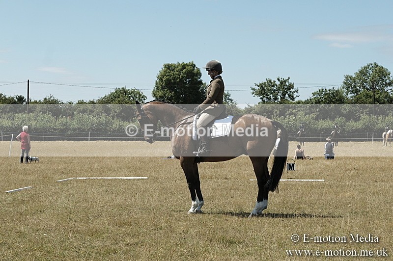 _PJP5891 - Dressage Classes BVRC Show 2018