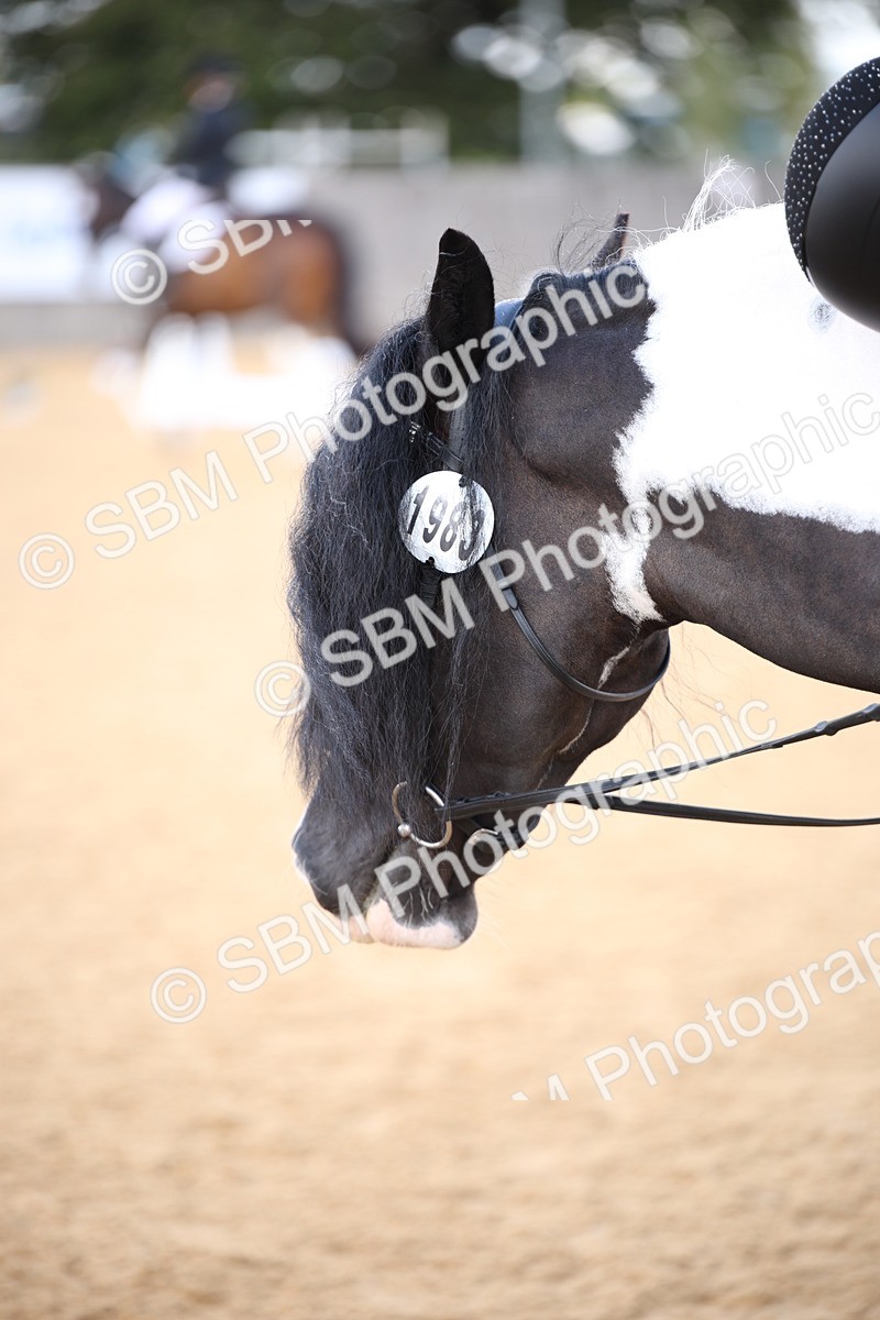 SBM_08873 - D8 Small Tour Championship Prelim 7