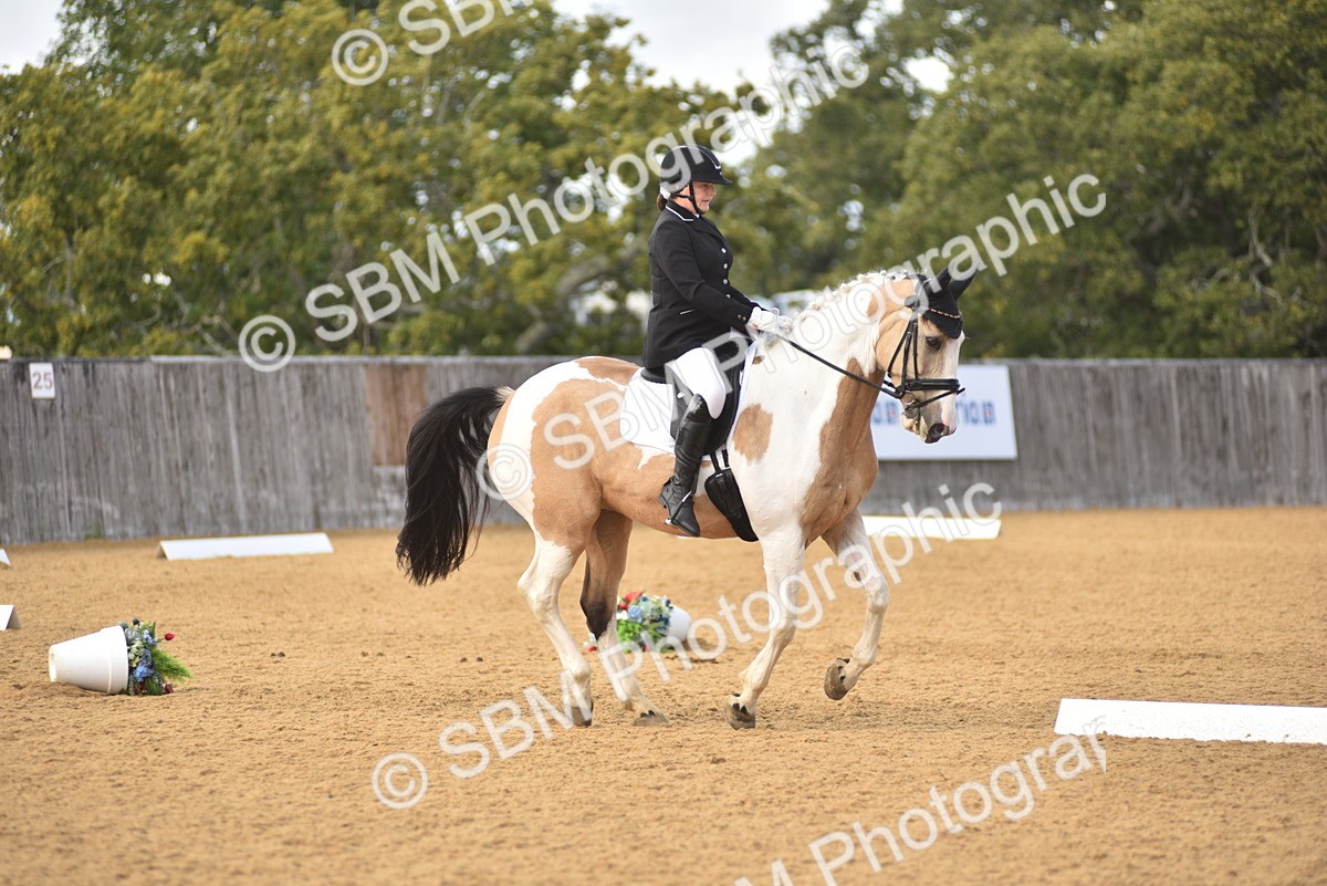 SBM_24354 - D4 - Small Tour Championship Intro 4