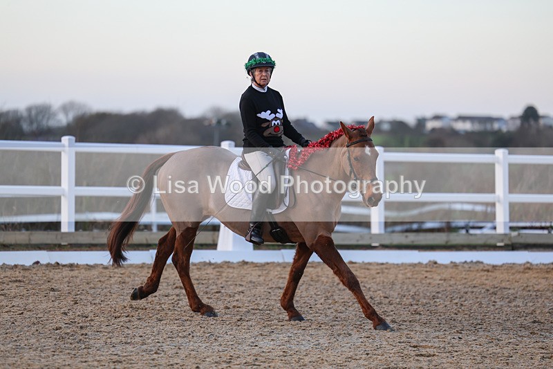 3E7A5110 - Class 5: Novice