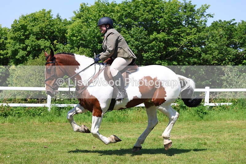3E7A7275 - Class 30: Novice Working Hunter
