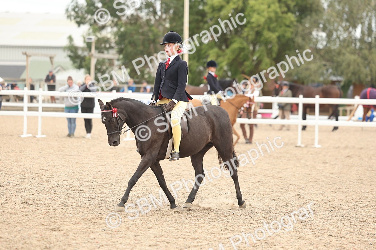 SBM_19138 - Class 316 - Best Pony-Rider Combination