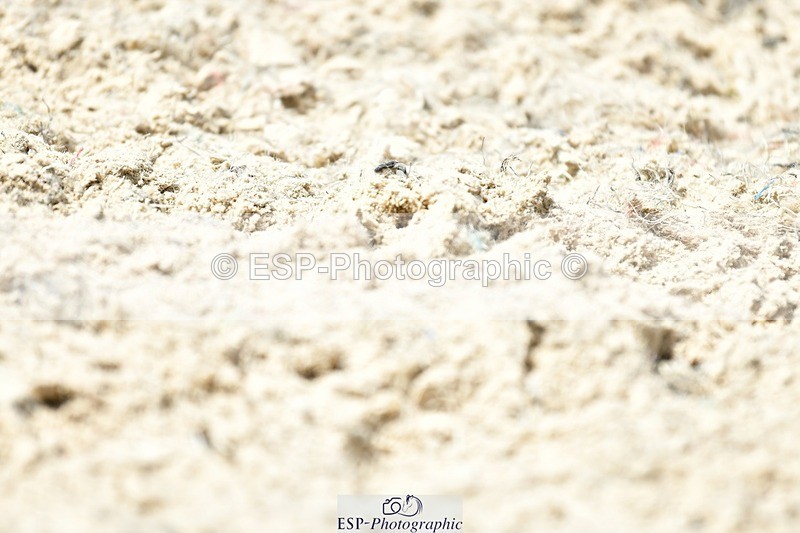 230623-124820-02269 - Cls 4 Novice 37Q 12.45 to End