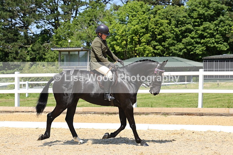 1X9A1824 - Class 12: Ridden Riding Horse/Hack