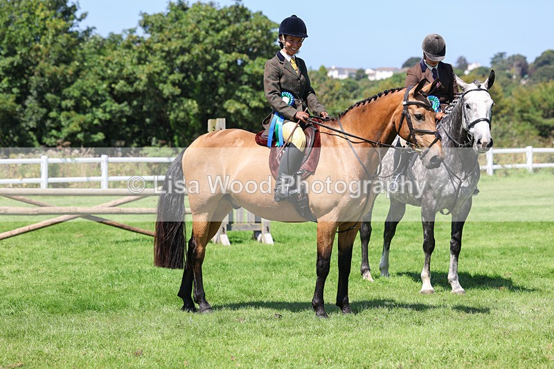 3E7A9103 - Class 6: Open Working Horse