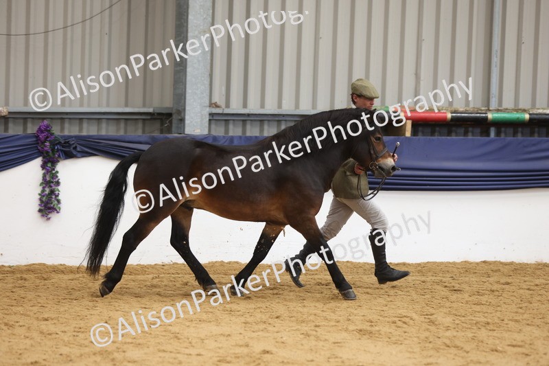 20260913-1672 - Pony of the Year Championship