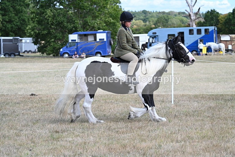 WJ7_6819 - Class 14 Ridden Coloured